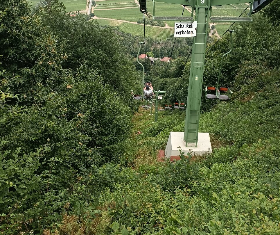 Rietburgbahn-Edenkoben必去景点