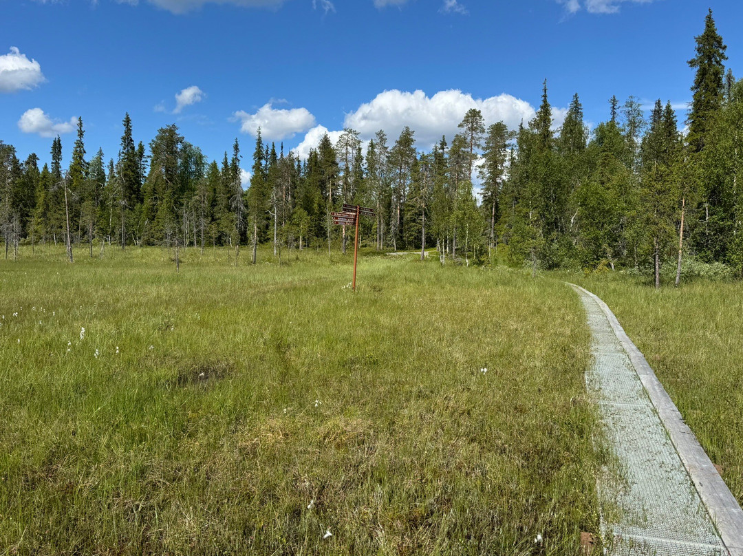 Pallas-Yllästunturi National Park-Muonio必去景点