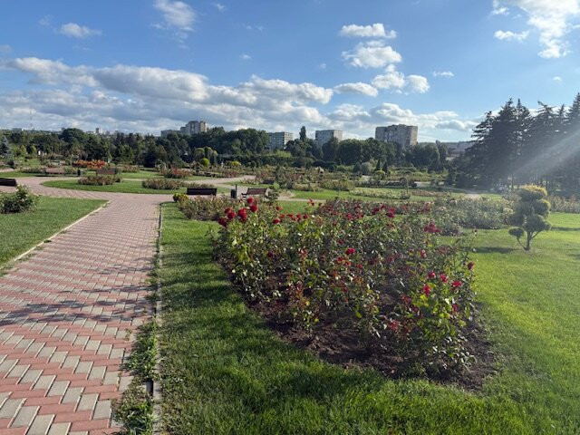 Dendrariu Park-基希讷乌必去景点
