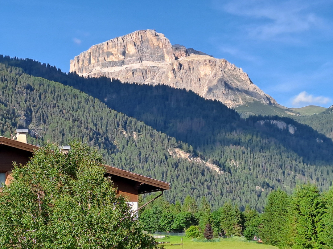 Alpen Hotel Panorama主图