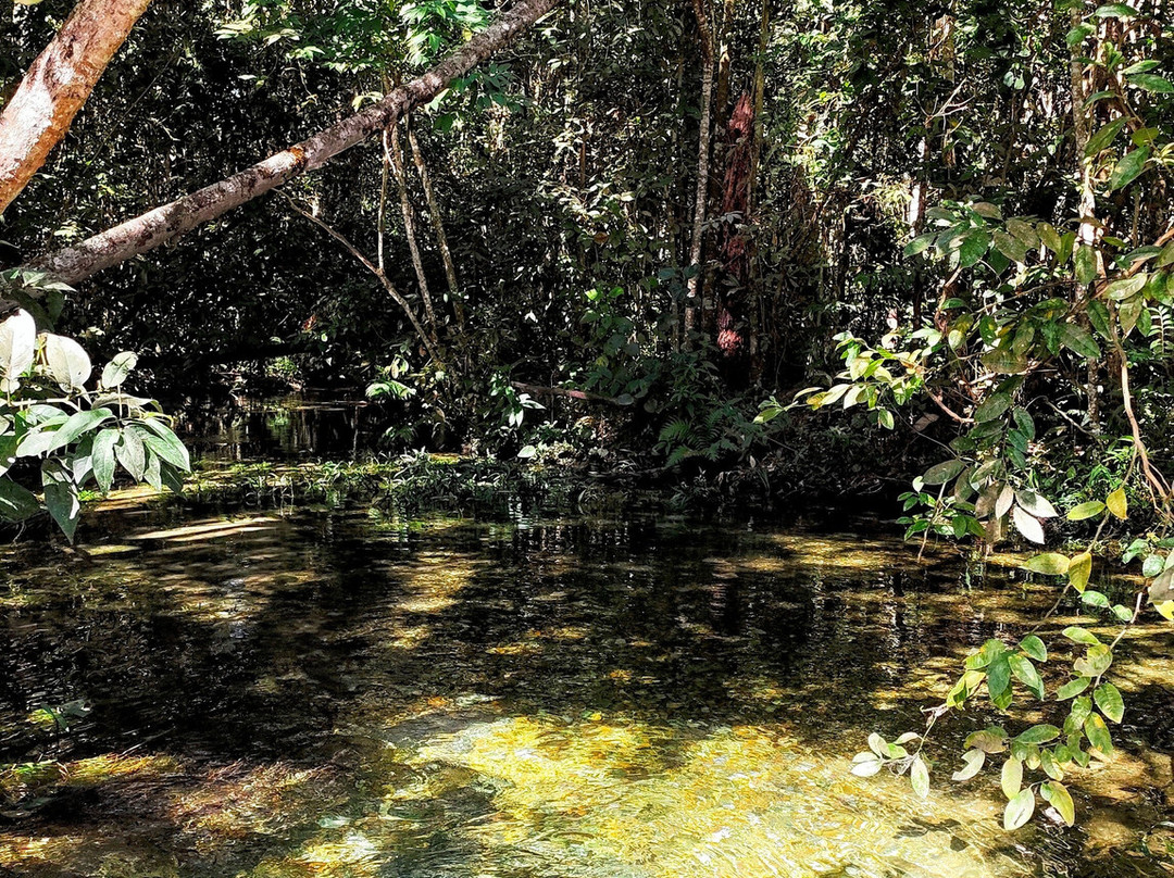 巴西利亚国家公园 (Agua Mineral)-巴西利亚必去景点