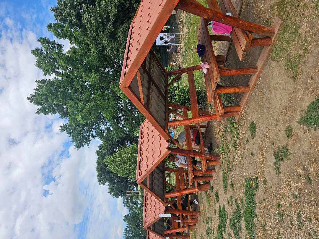 Panthera park