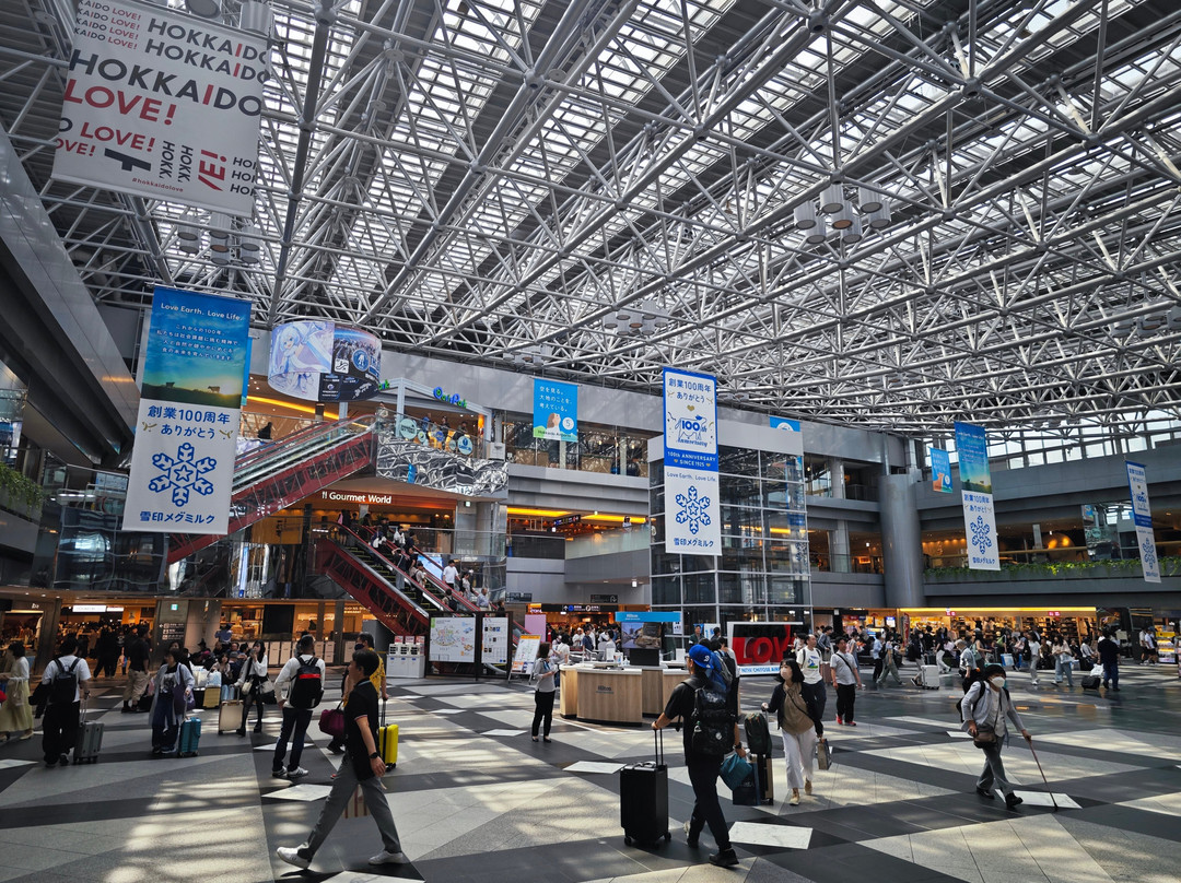 New Chitose Airport Terminal-千岁市必去景点