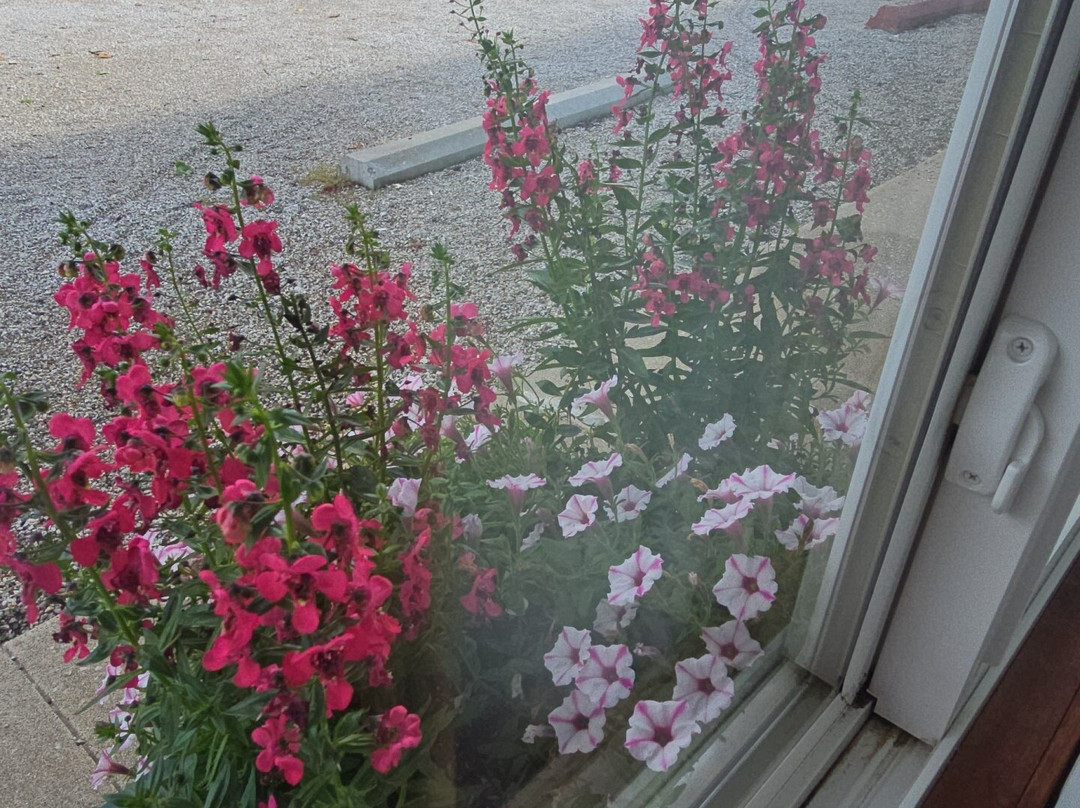 CarlinVilla Motel主图