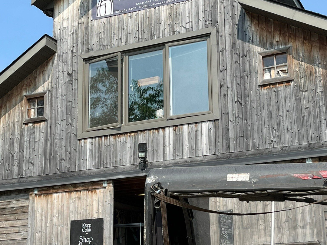 Old Mill Alpacas-Colborne必去景点
