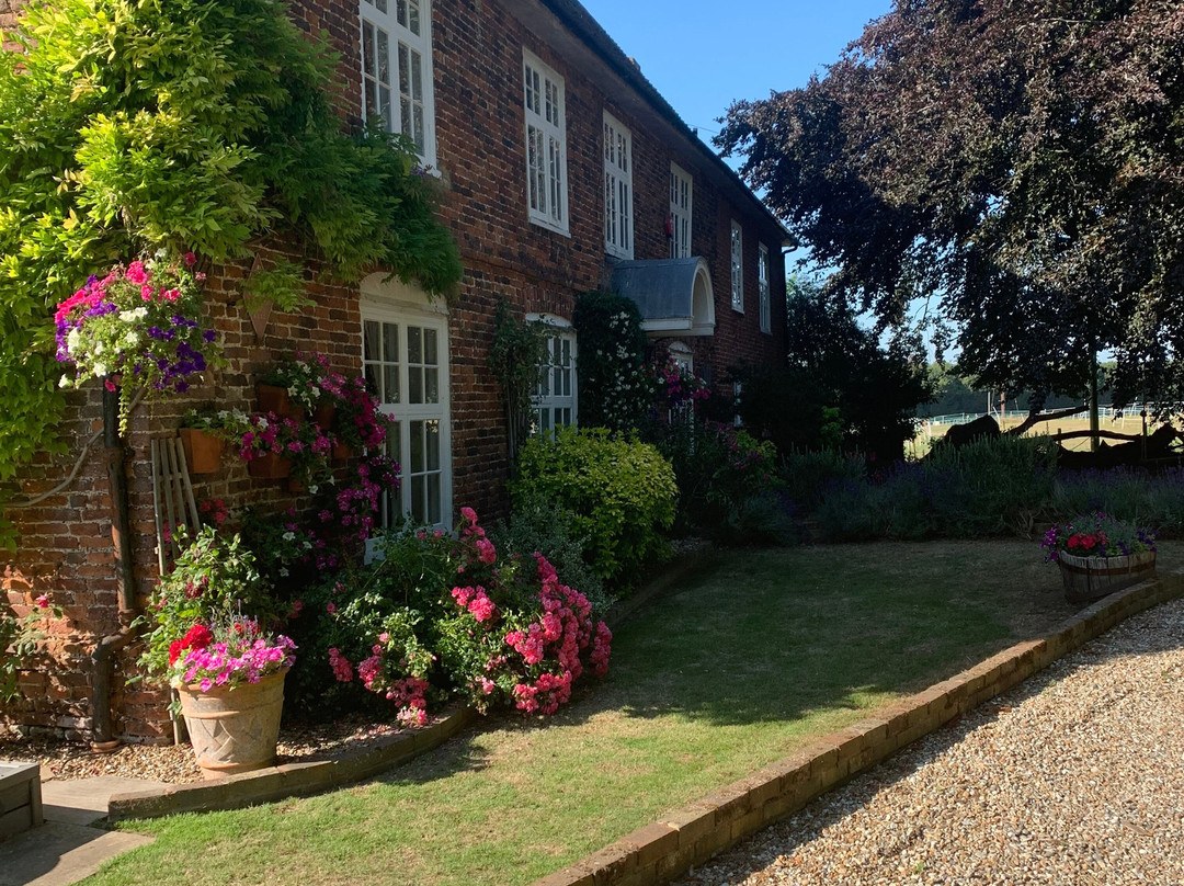 Molland Manor House B&B主图