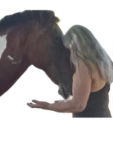 Horse Spirit Healing-Cabuya必去景点