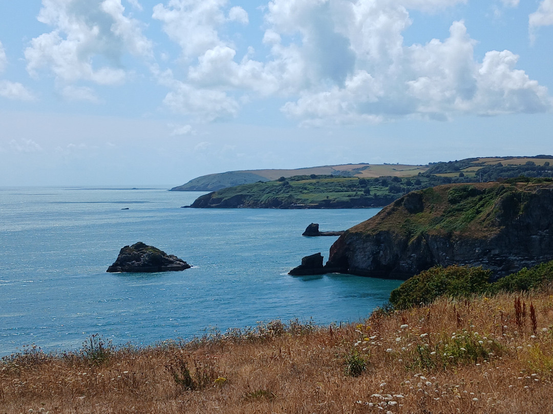 Berry Head National Nature Reserve-布里克瑟姆必去景点