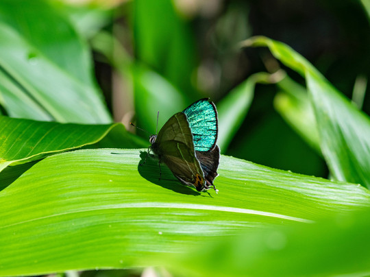 Joshin'etsukogen National Park-长野县必去景点