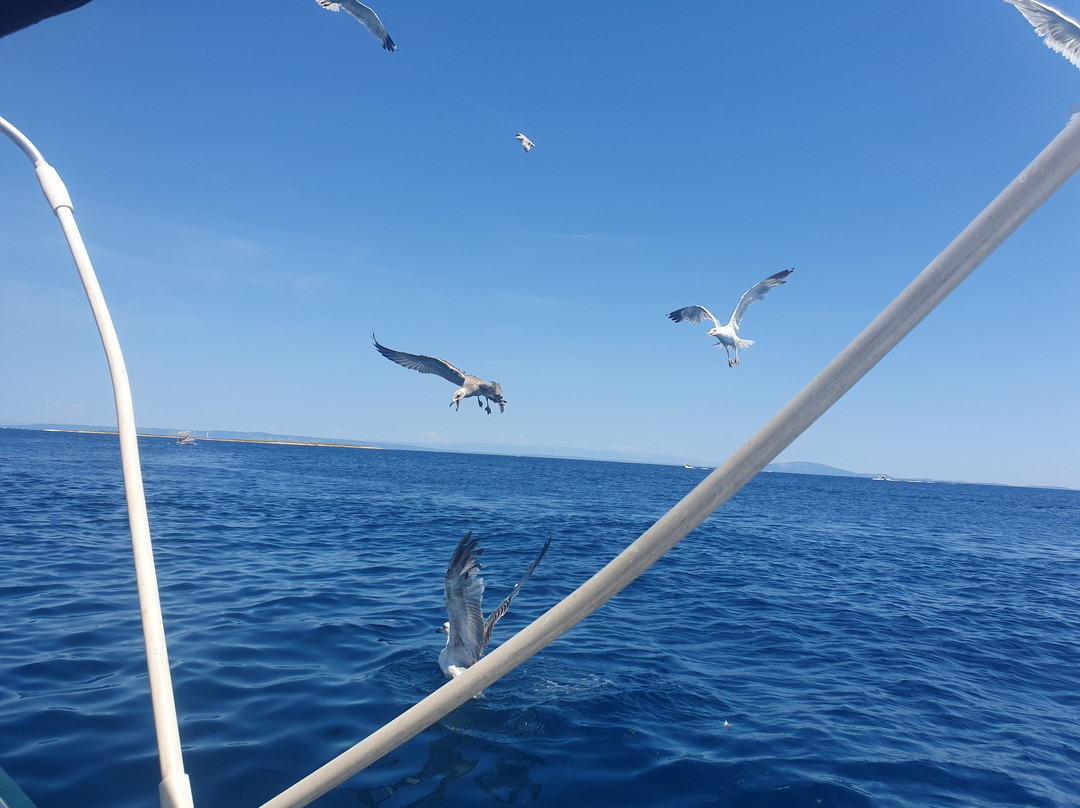 Globus Quad Safari-梅杜林必去景点