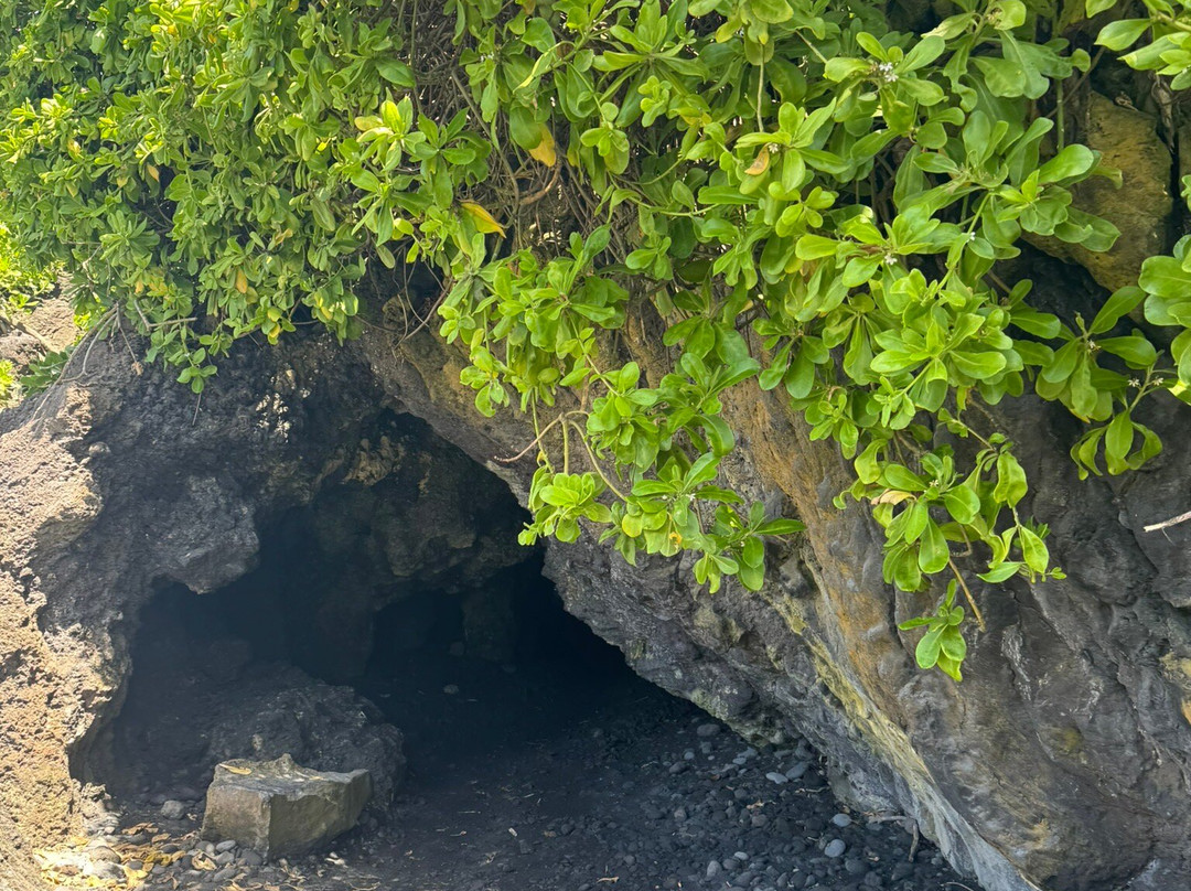 Honokalani Black Sand Beach-哈纳必去景点