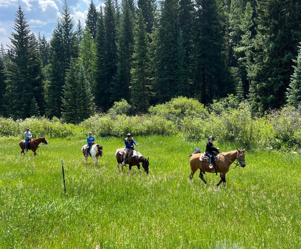 Rocky Mountain Stables-格兰比必去景点