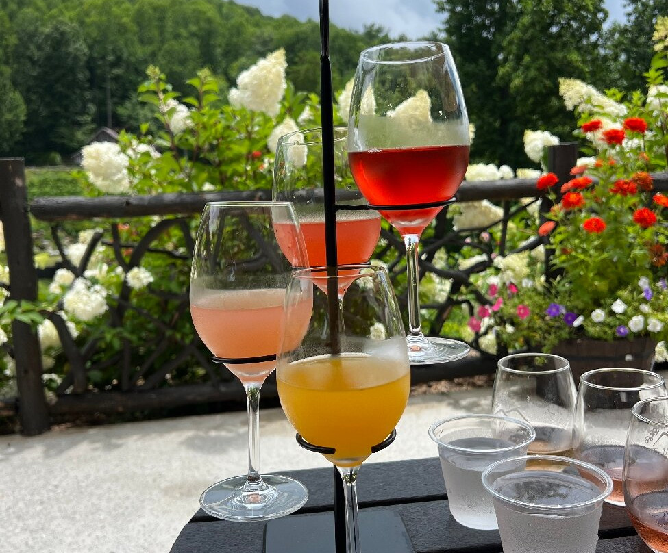 The Vineyard at High Holly-Scaly Mountain必去景点