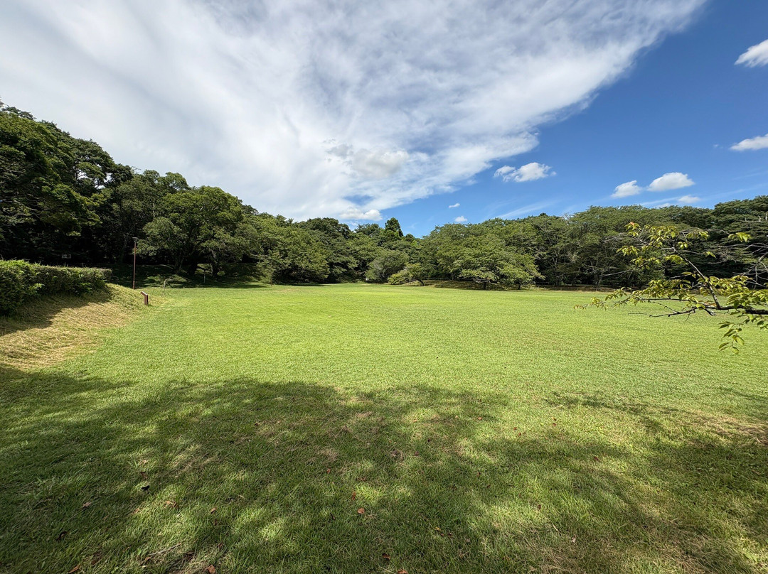 Sakura Castle Site Park-佐仓市必去景点