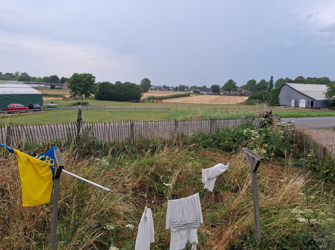 Bommelerhoeve B&b & Gastenverblijf Dirkje Boven