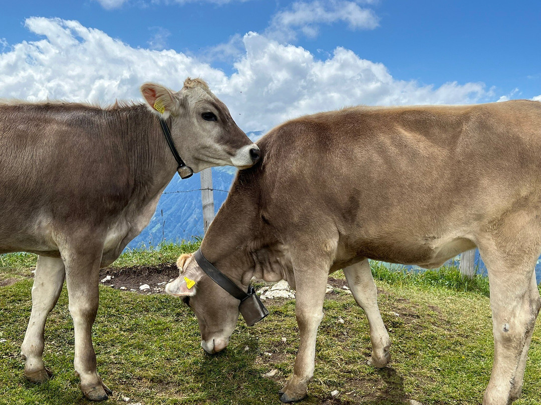 Stoos Ridge Hike-Stoos必去景点