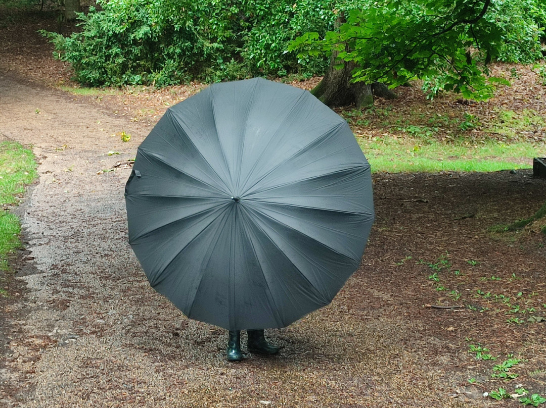 SureStay Hotel By Best Western Norfolk Little Creek