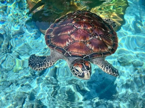 Zanzibar Alibaba Tours-桑给巴尔岛必去景点