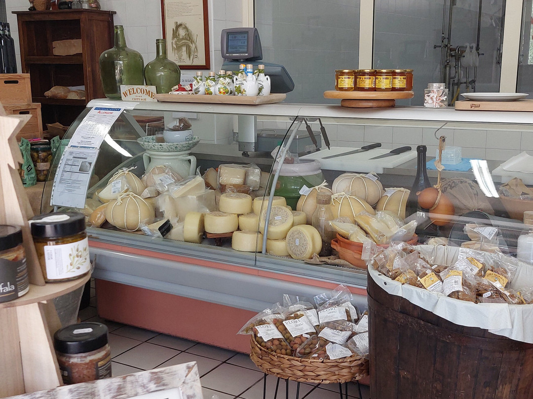 Caseificio Macchiusi Monica E Antonio-Pontinia必去景点