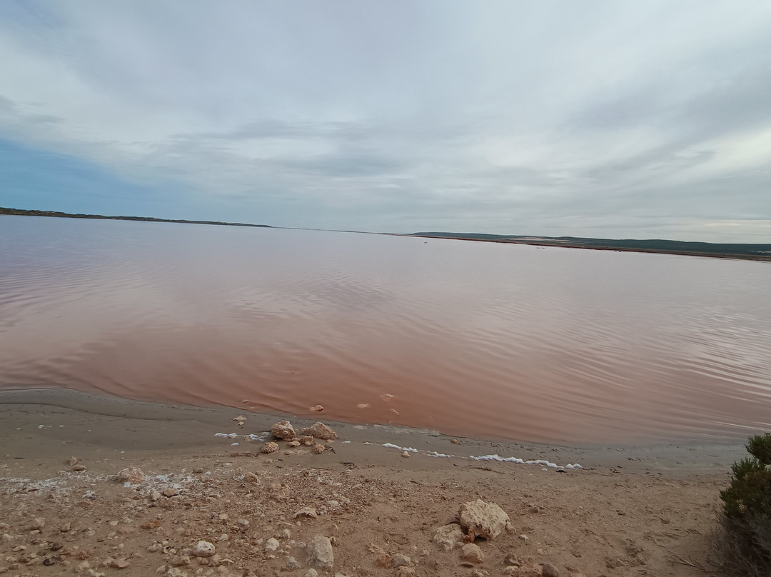 Pink Lake-卡尔巴里必去景点