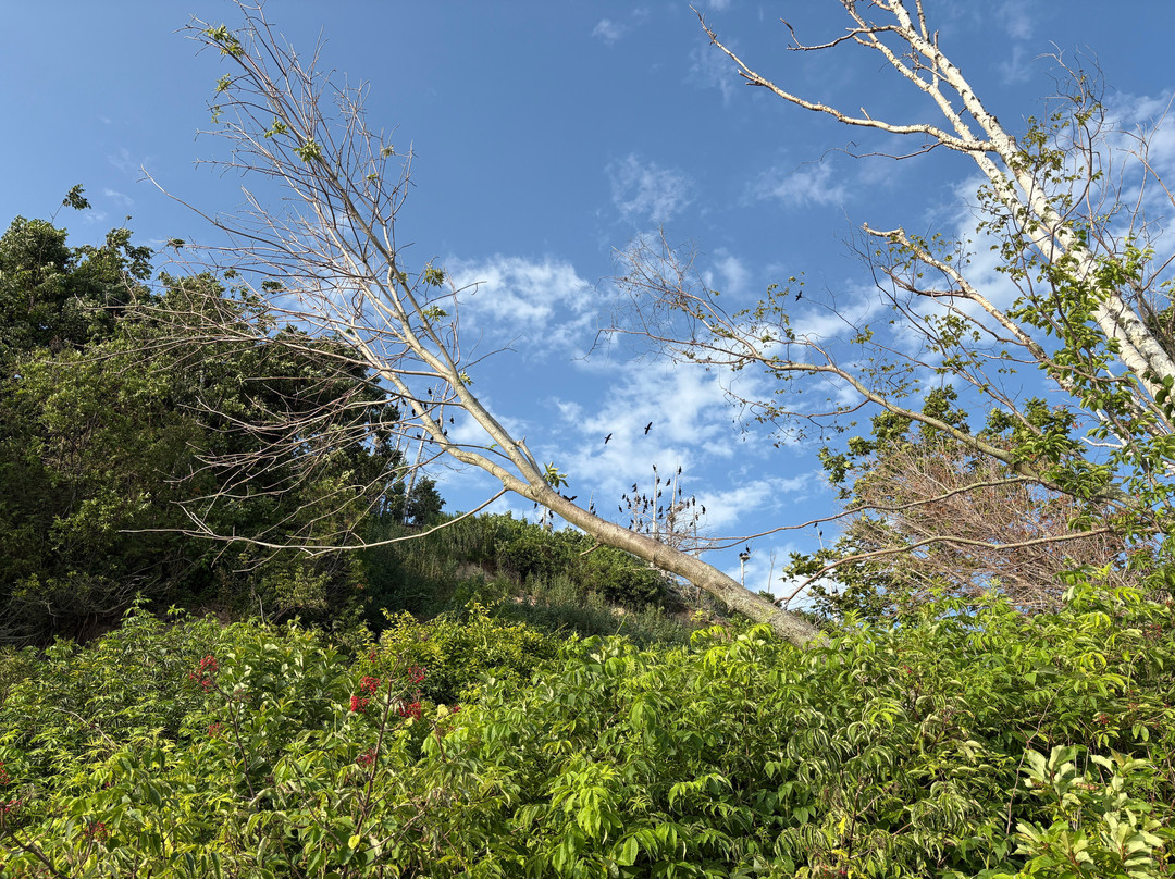 Manitou Island Transit-Leland必去景点