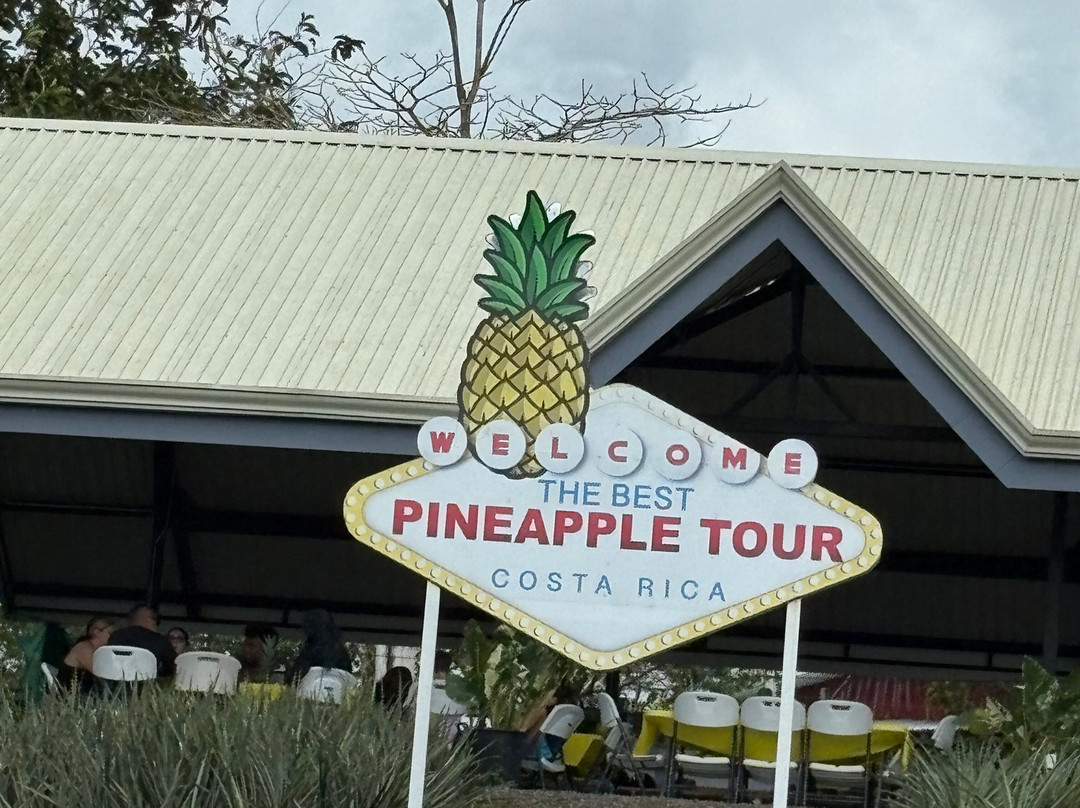 The Best Pineapple Tour Costa Rica-Rio Cuarto必去景点