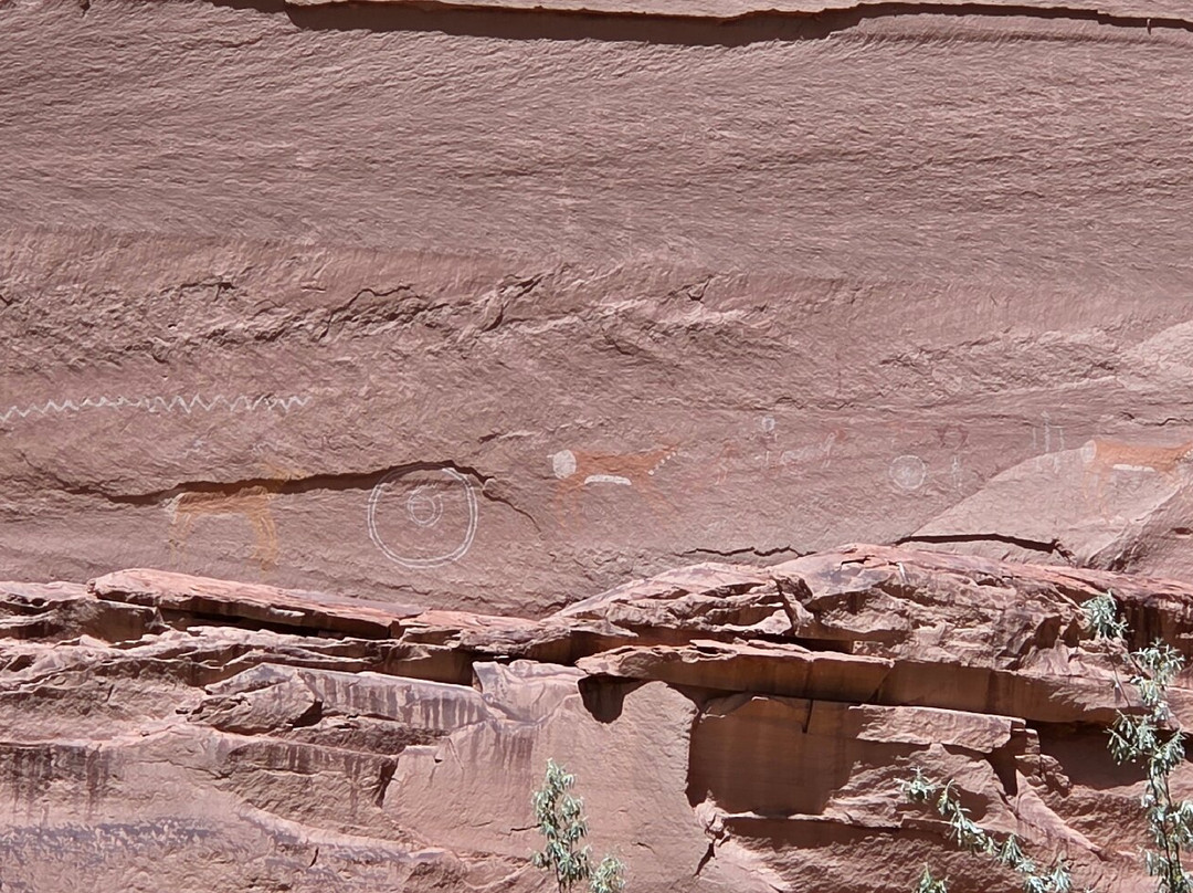 Antelope House Tours-Chinle必去景点