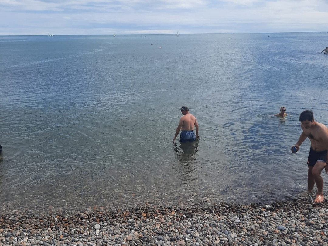 Belmont House Beer主图