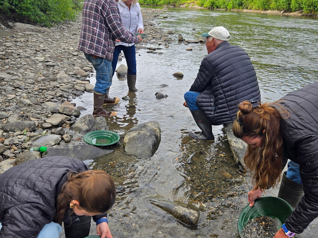 Denali Gold Tours-Trapper Creek必去景点