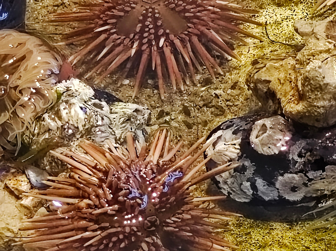 Fundación Ecocentro-马德林港必去景点