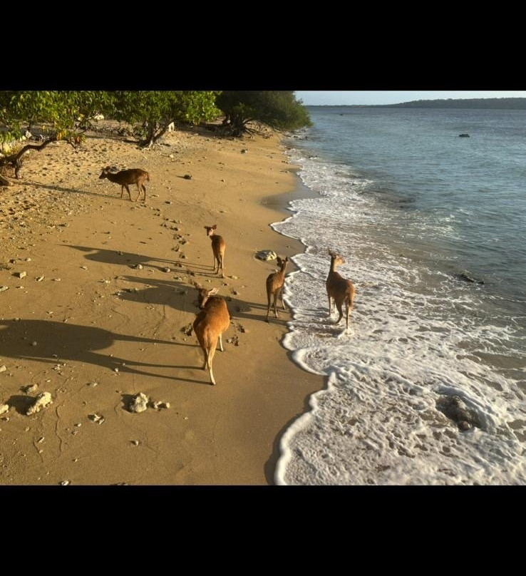 西巴厘岛国家公园-巴厘岛必去景点