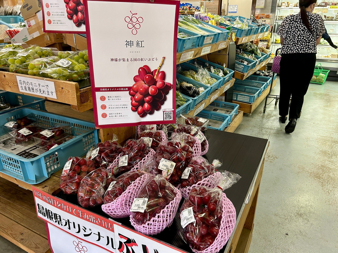 Michi-no-Eki Mizuho-邑南町必去景点