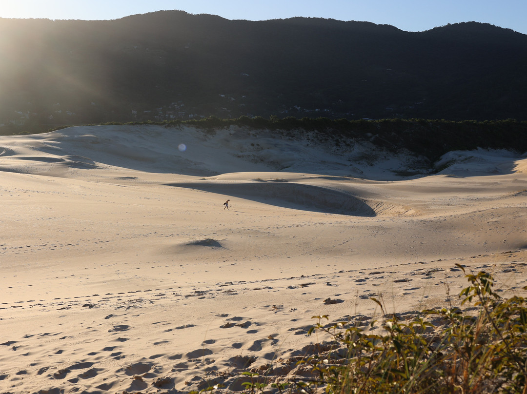 Dunas do Ouvidor e do Siriu-Garopaba必去景点