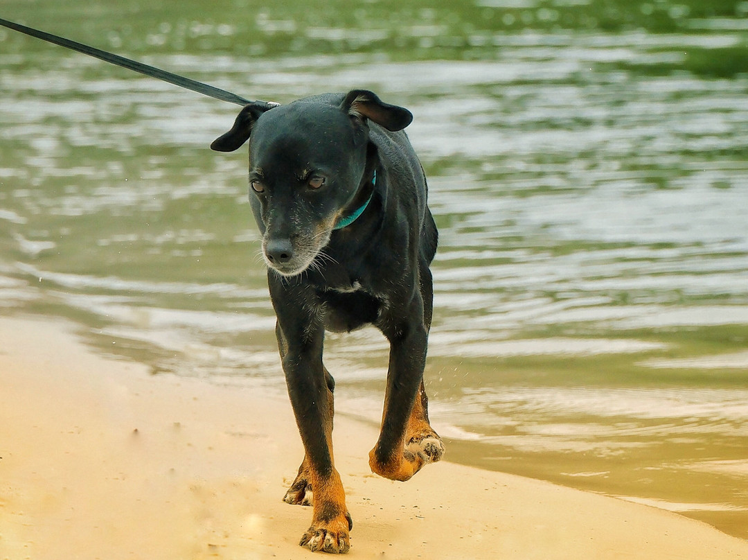 Zilvermeer-Mol必去景点