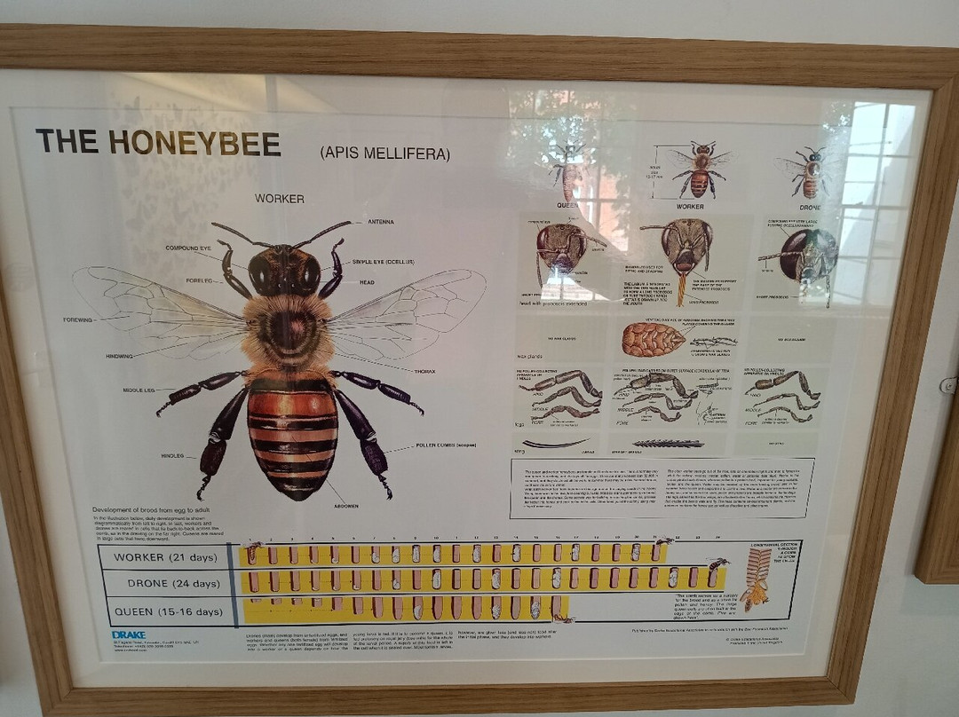 Portsmouth Natural History Museum-普兹茅斯必去景点