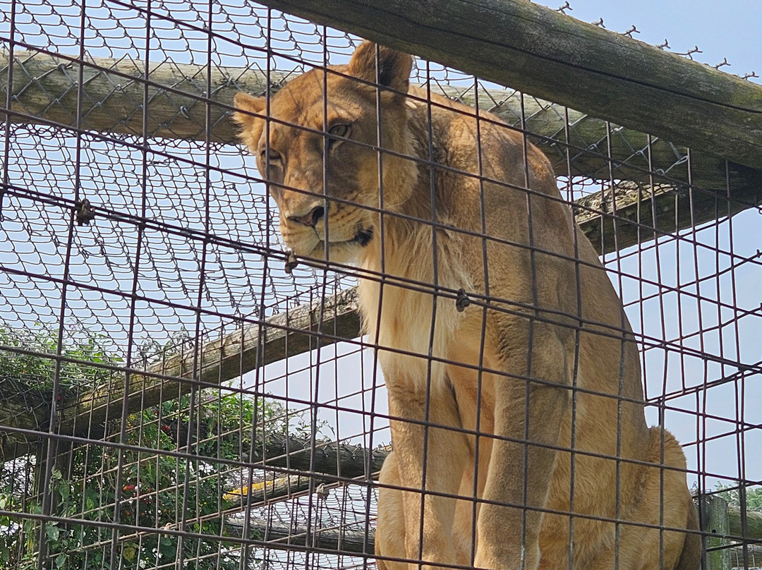 Bervie Zoological Park-Kincardine必去景点