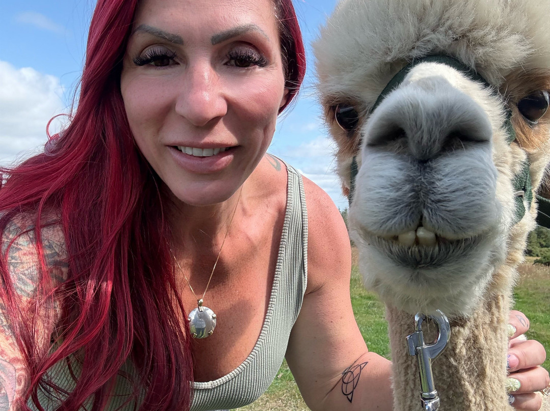 K2Alpacas-Wicklow必去景点