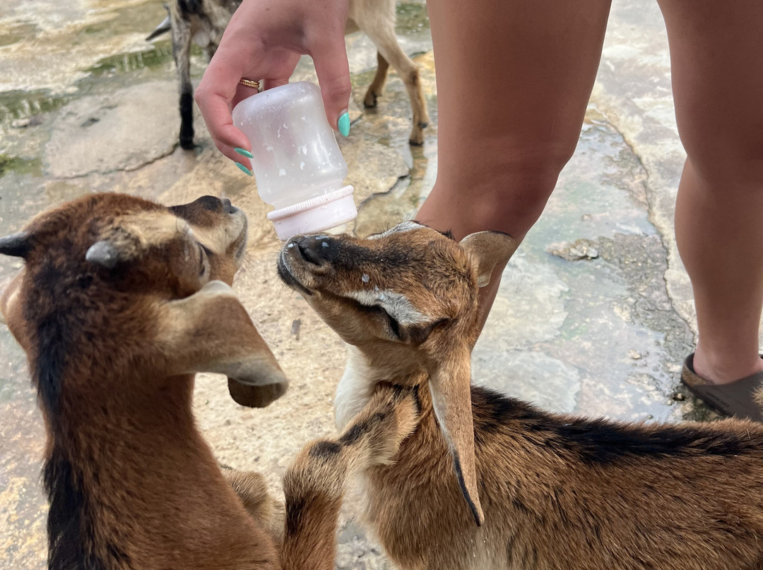 Evolution Adventure Park-蓬塔卡纳必去景点