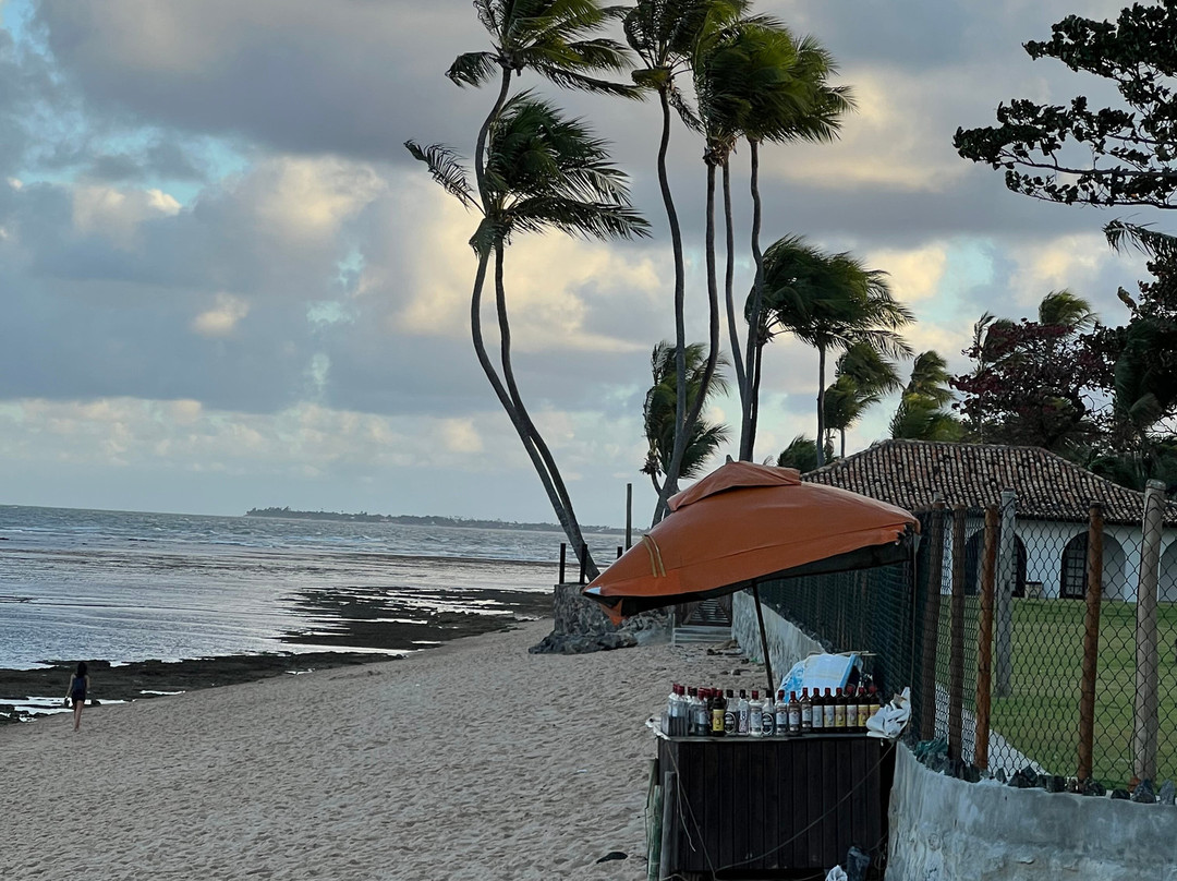 Praia do Forte Beach-Mata de Sao Joao必去景点