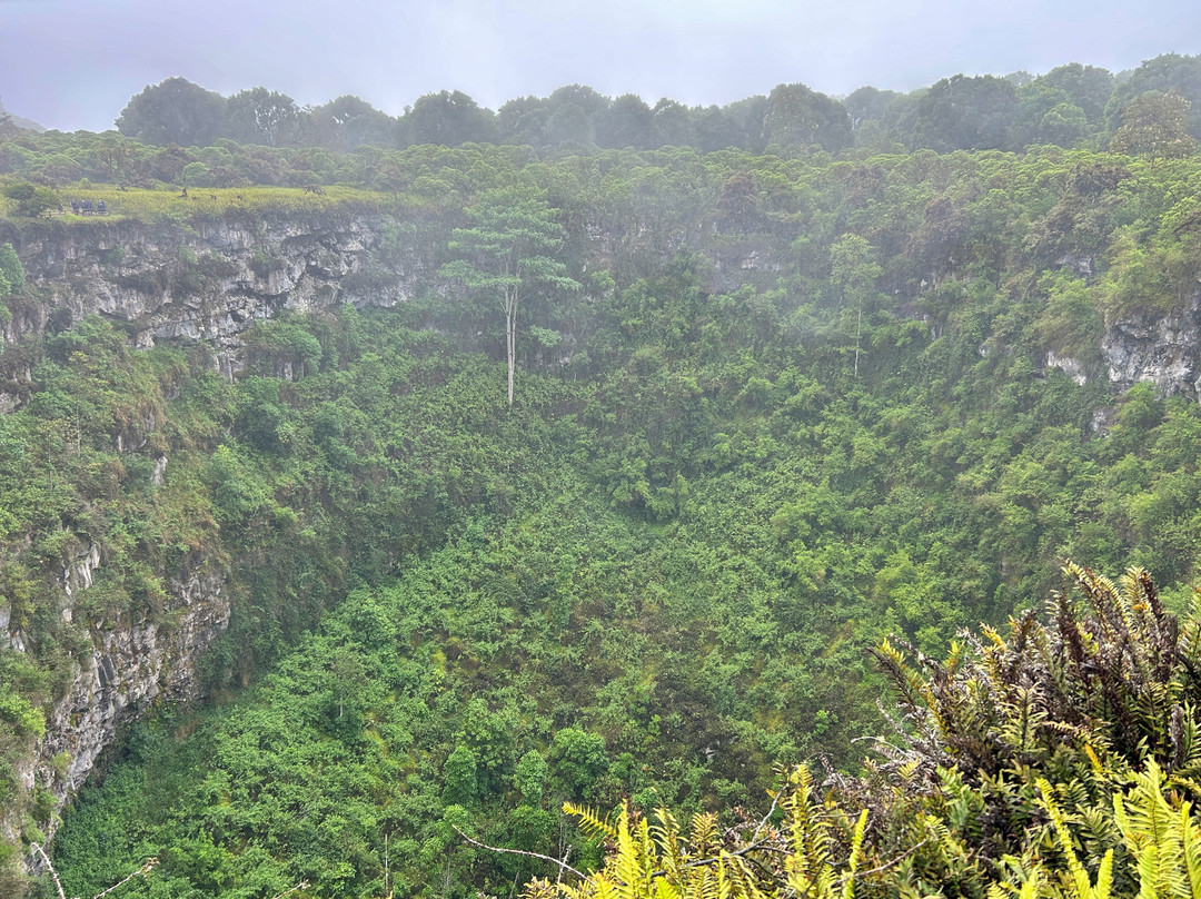 Los Gemelos-圣克鲁斯必去景点