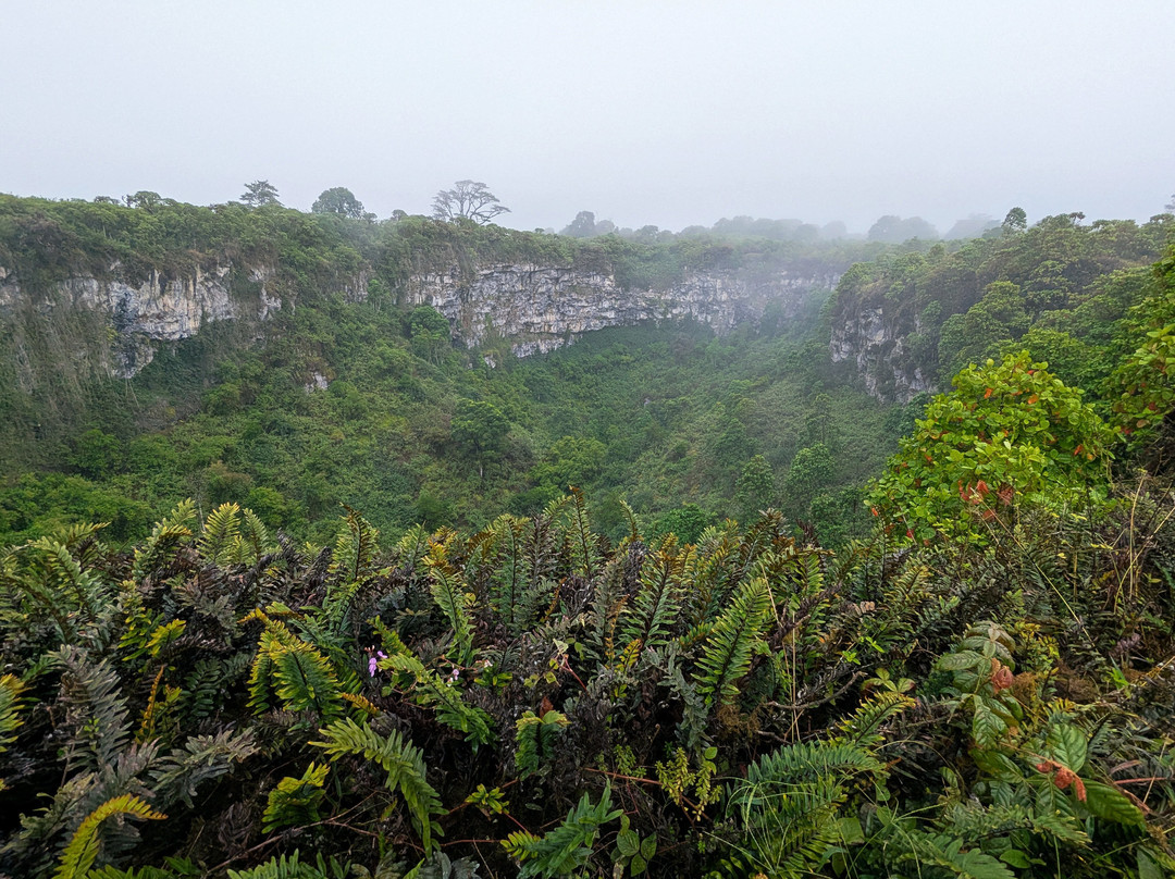 Los Gemelos-圣克鲁斯必去景点