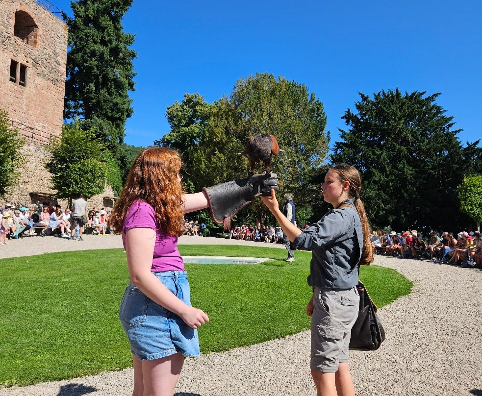 La Volerie des Aigles-Kintzheim必去景点