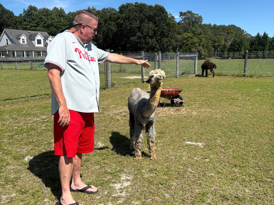 Silver Fox Farm Alpacas-Egg Harbor City必去景点