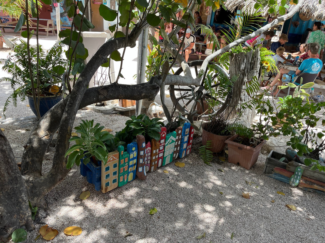 Tugboat Wreck-库拉索必去景点