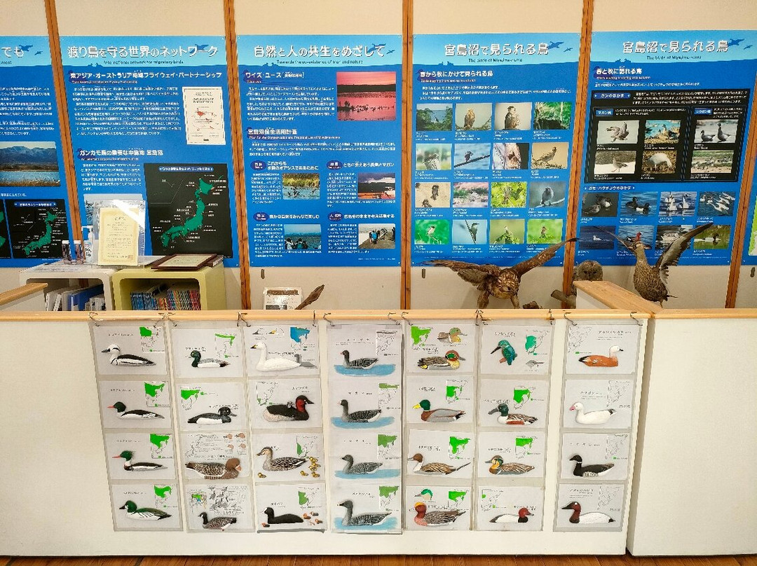 Miyajima Numa Mizutori Shitchi Center-美呗市必去景点