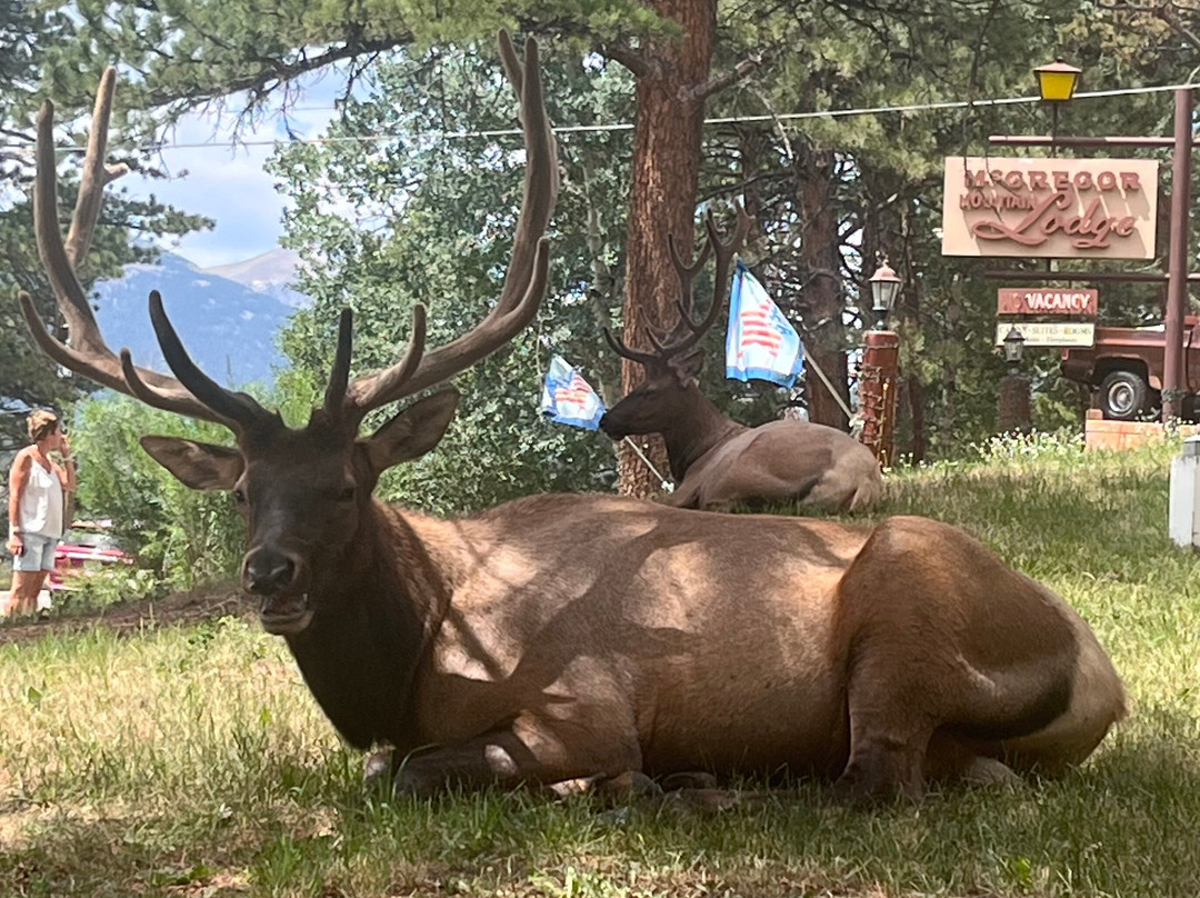McGregor Mountain Lodge