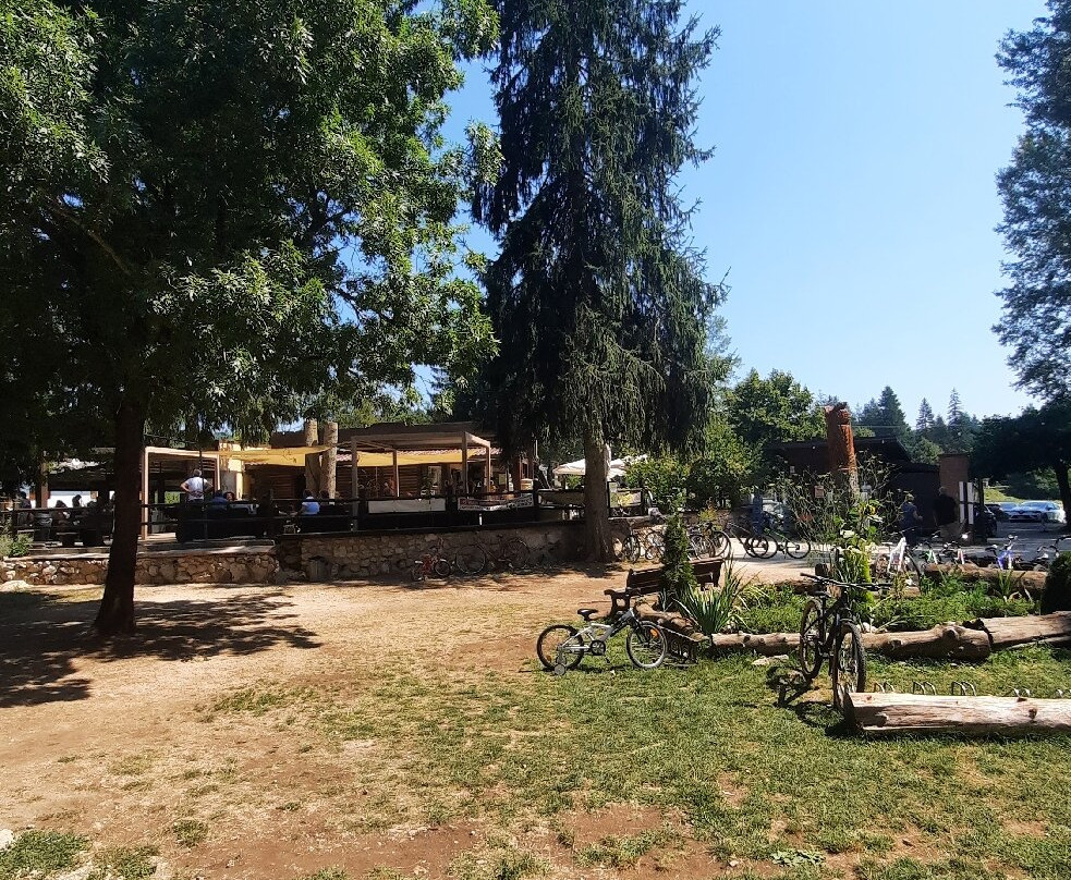 Altipiani Adventures Park-Altipiani di Arcinazzo必去景点