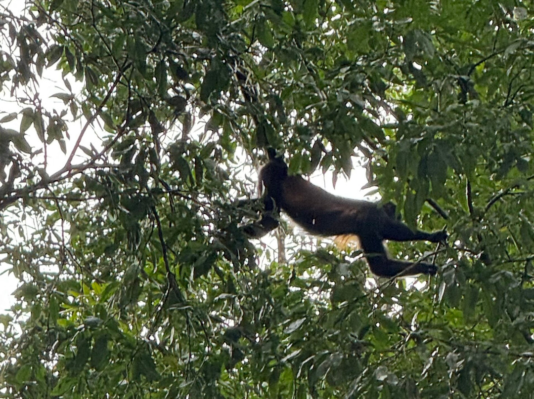 Costa Rica Experts-圣何塞必去景点