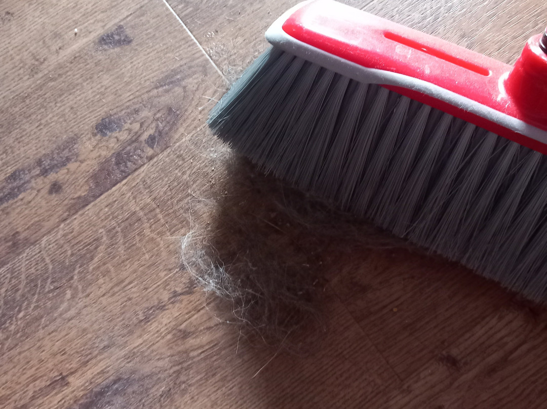 普拉妮贝尔酒店主图