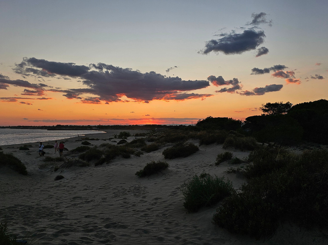 Plage de la Tamarisiere-Le Grau d'Agde必去景点